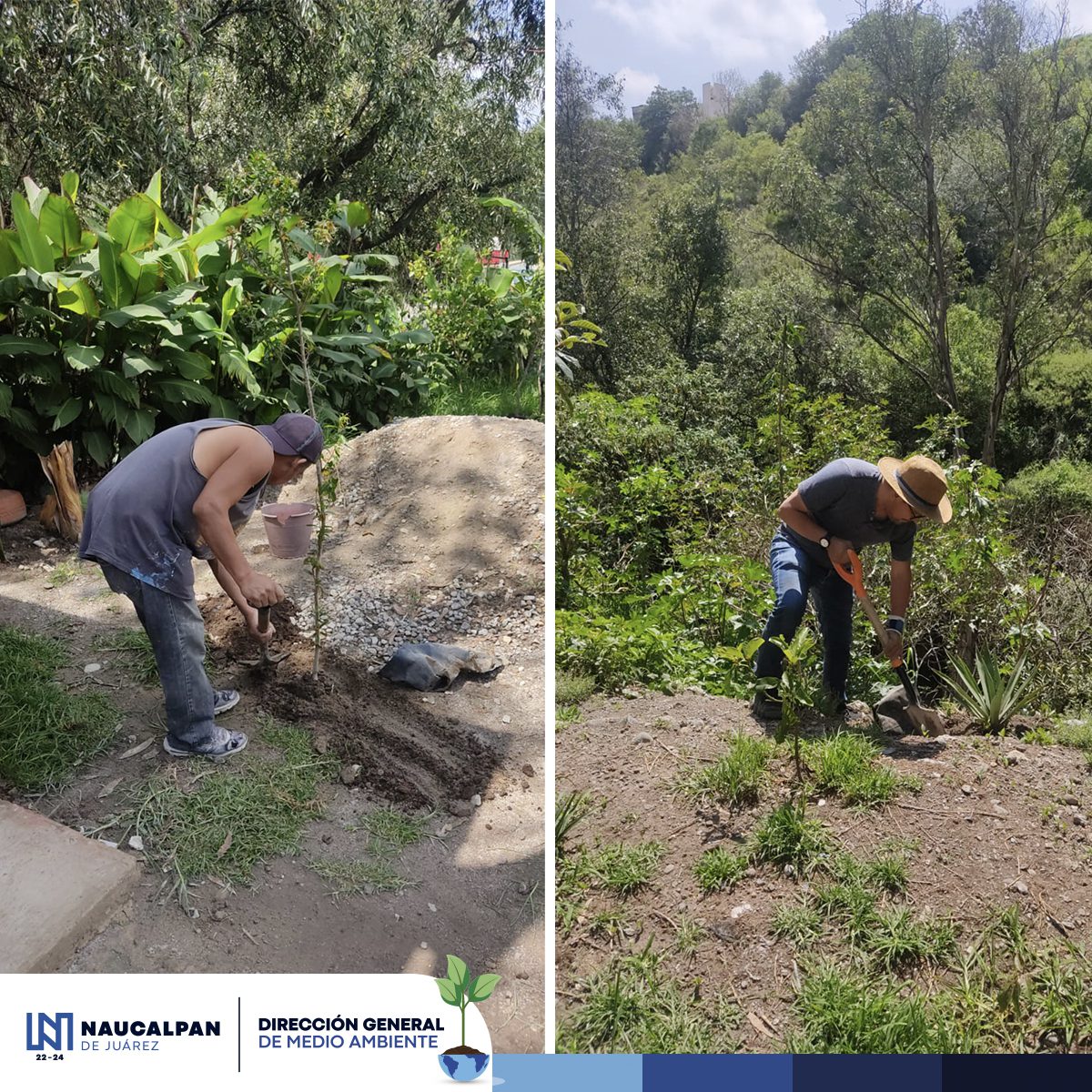 Hoy llevamos a cabo la jornada de reforestacion en La