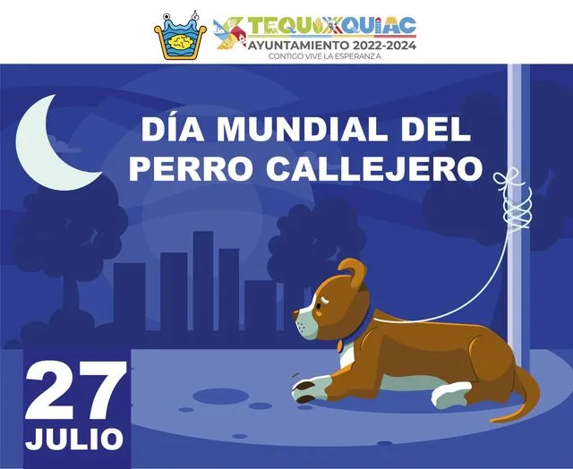 Hoy se conmemora el dia del perro callejero dia que jpg