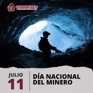 II 𝗗𝗜́𝗔 𝗡𝗔𝗖𝗜𝗢𝗡𝗔𝗟 𝗗𝗘 𝗟𝗢𝗦 𝗠𝗜𝗡𝗘𝗥𝗢𝗦 El 11 de Julio