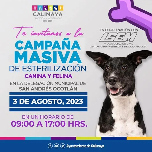 IMPORTANTE EL REGISTRO ES PARA UNA MASCOTA jpg