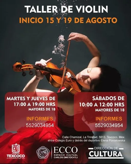 Integrate a las clases de violin que el Espacio Cultural jpg