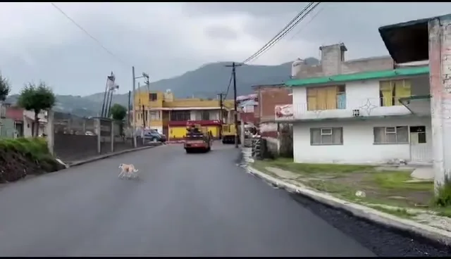 La pavimentacion con mezcla asfaltica en Av Reforma en Tlalmimilolpan jpg