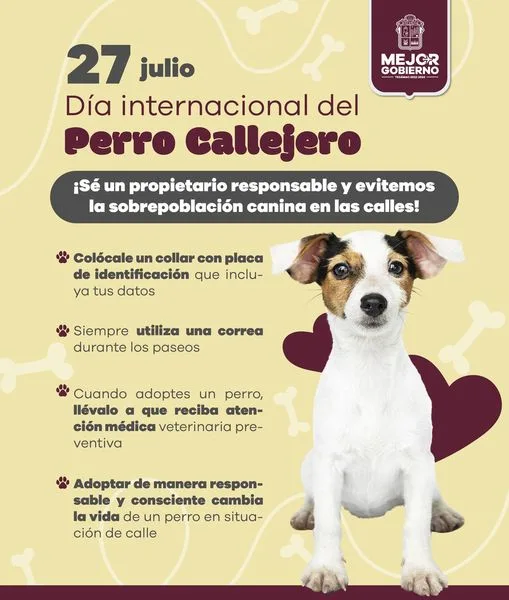 Mexico encabeza la lista con mayor numero de perros sin jpg