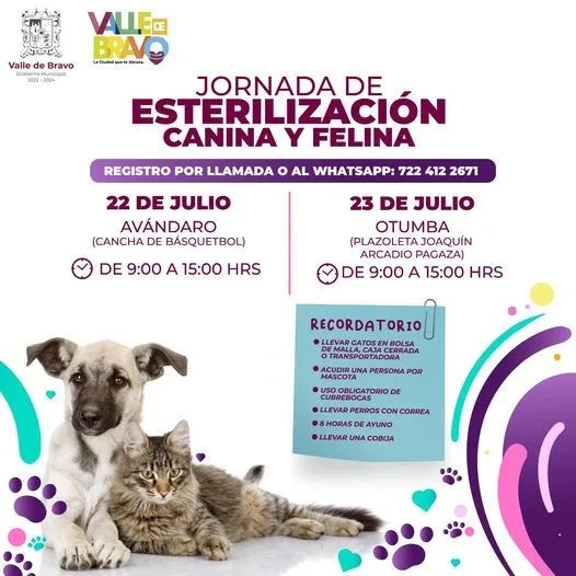 Participa en nuestra Jornada de Esterilizacion Canina y Felina jpg