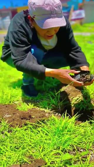 REFORESTACION EN NEXTLALPAN