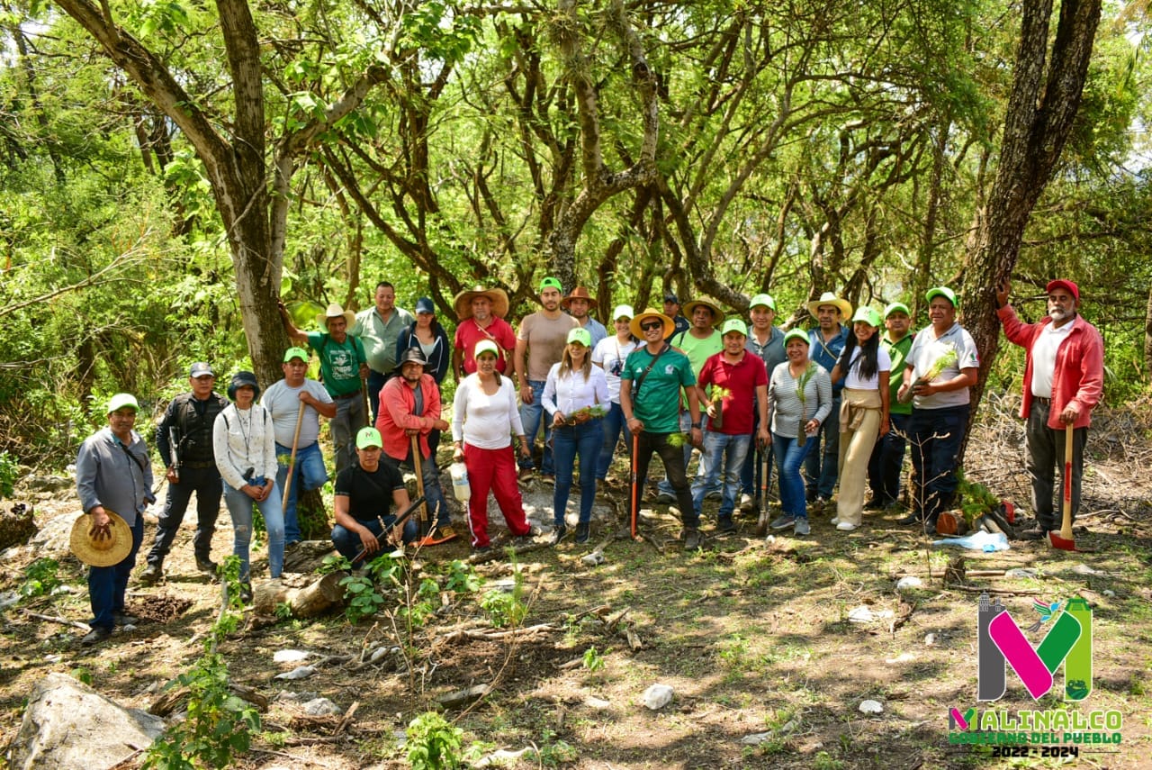 Realizamos una jornada de reforestacion en conjunto con los ejidatarios