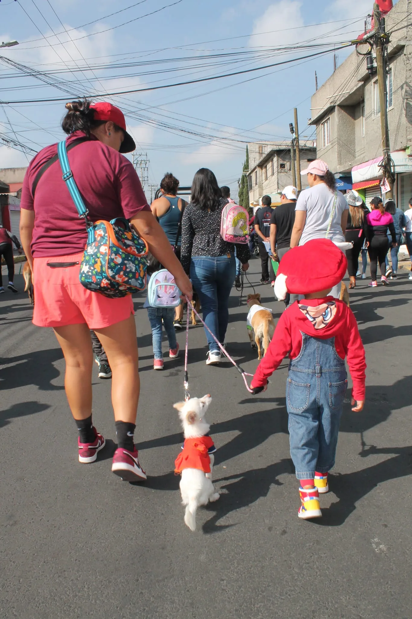 SEGUNDA CAMINATA CANINA Y FELINA EN CHIMALHUACAN jpg