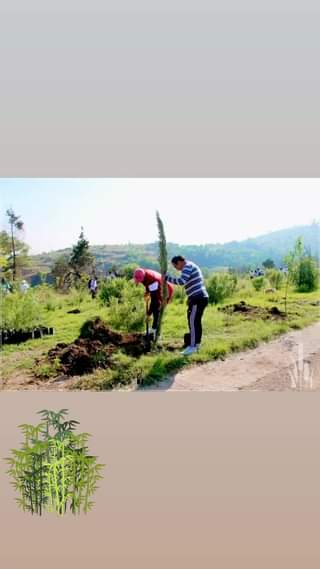 SeguimosTransformandoTultitlan Asi se vivio la jornadadereforestacion en el