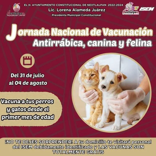 VACUNACION ANTIRRABICA A tus perritos y gatitos tambien les toca jpg