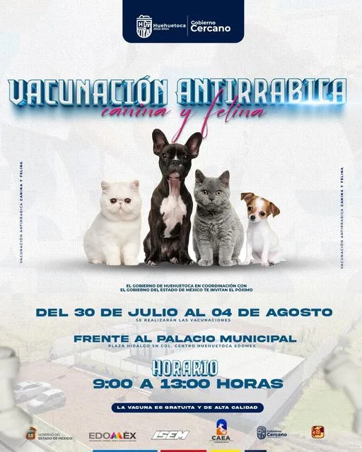 Vacunacion Antirrabica canina y felina A partir del domingo jpg