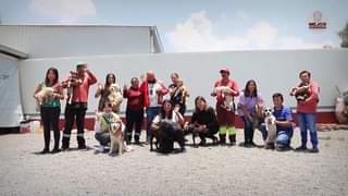 ¡Abuelo esta en adopcion conoce su increible historia