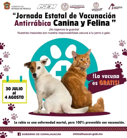 ¡Aprovecha la Jornada Estatal Antirrabica Canina y Felina jpg