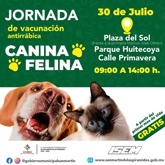 ¡Atencion duenos de perritos y gatitos El Gobierno Municipal te jpg