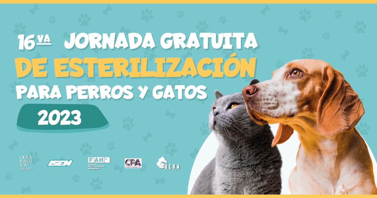 ¡Aún estás de registrar a tu mascota! Ven a la 16va Jornada Gratuita de Esterili