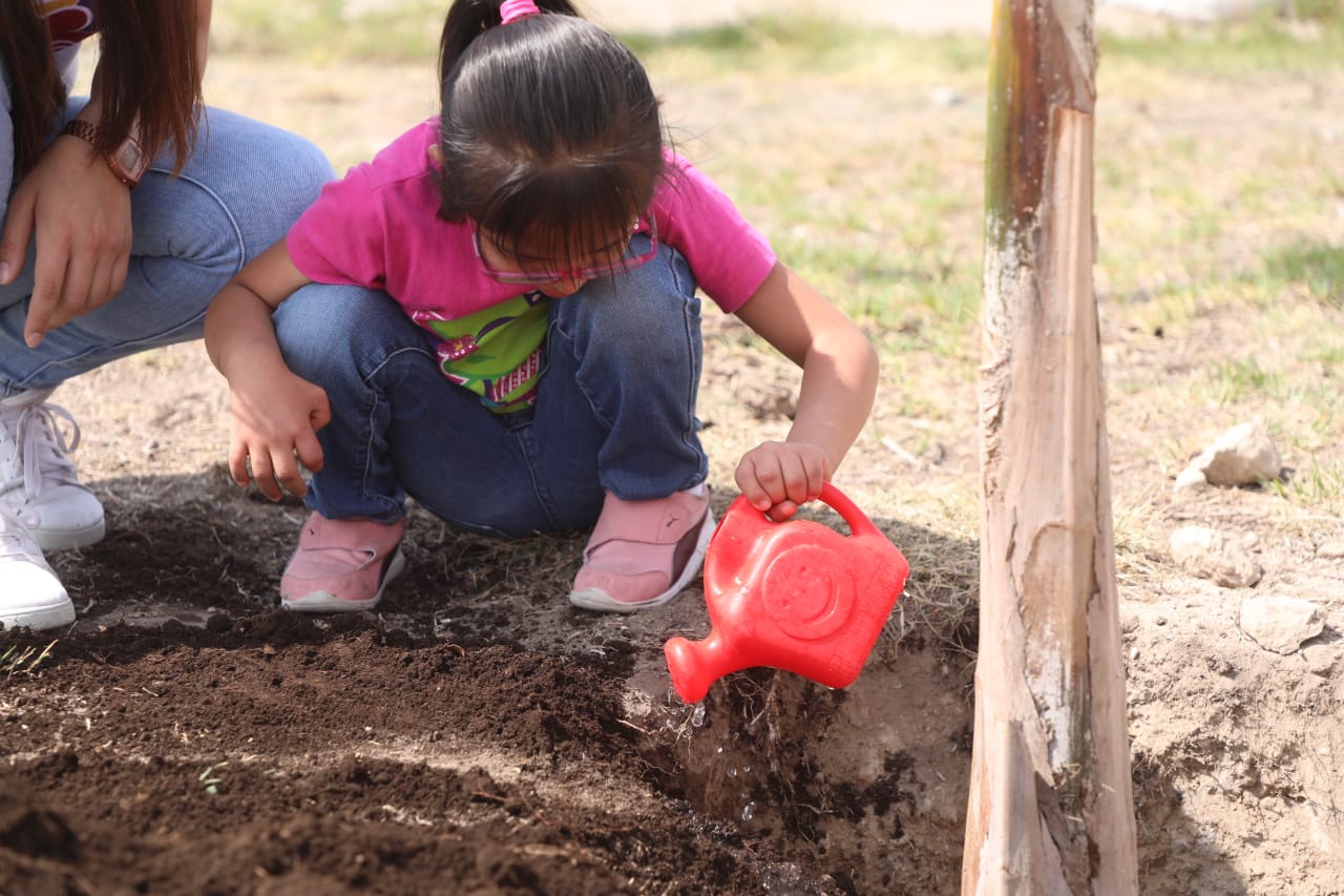 ¡Continua la Campana de Reforestacion en ZumpanGO Hoy los pequenos