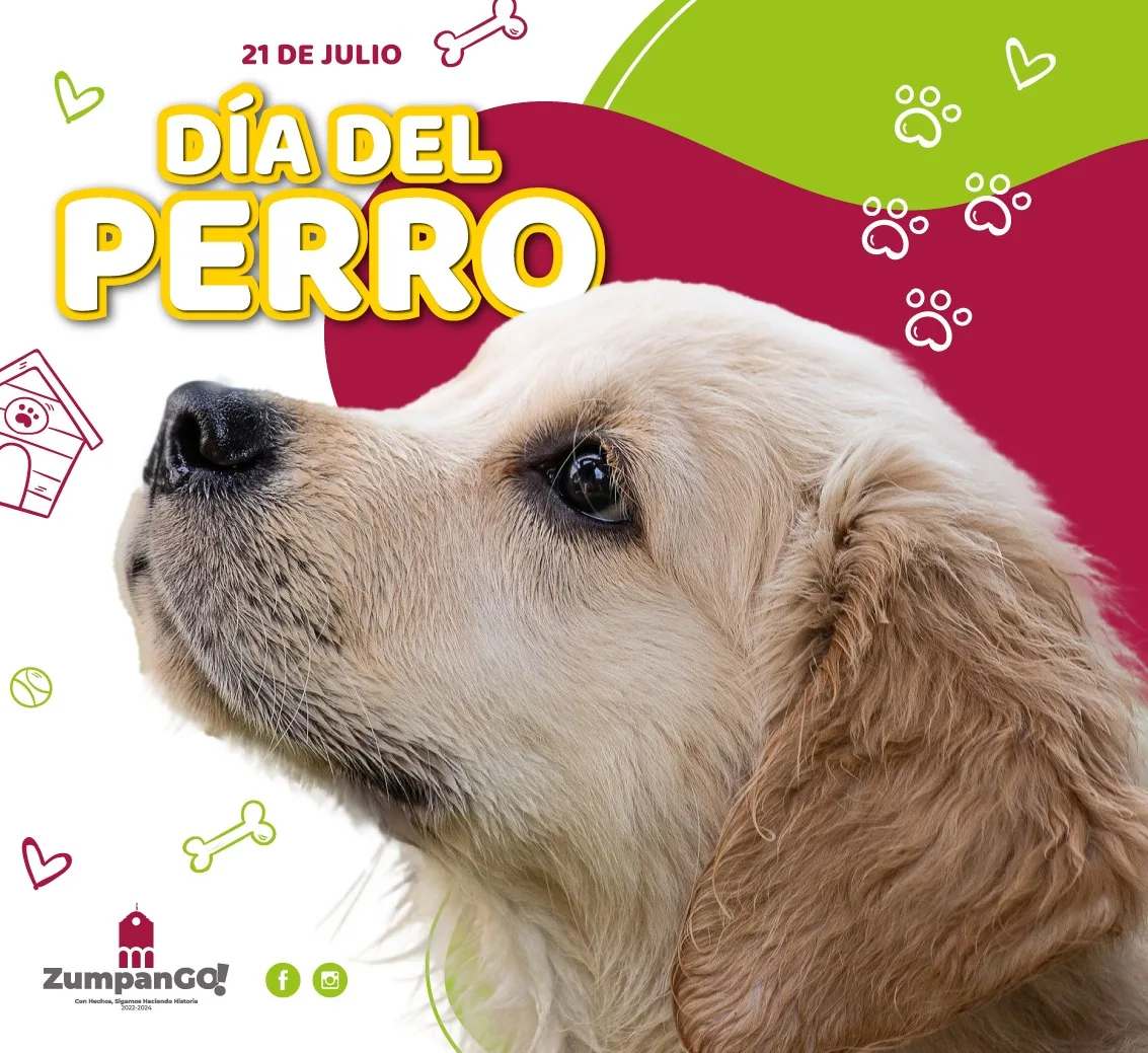 ¡Hoy 21 de julio celebramos el Dia Mundial del Perro jpg