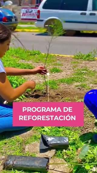 ¡La reforestacion continua en el municipio de