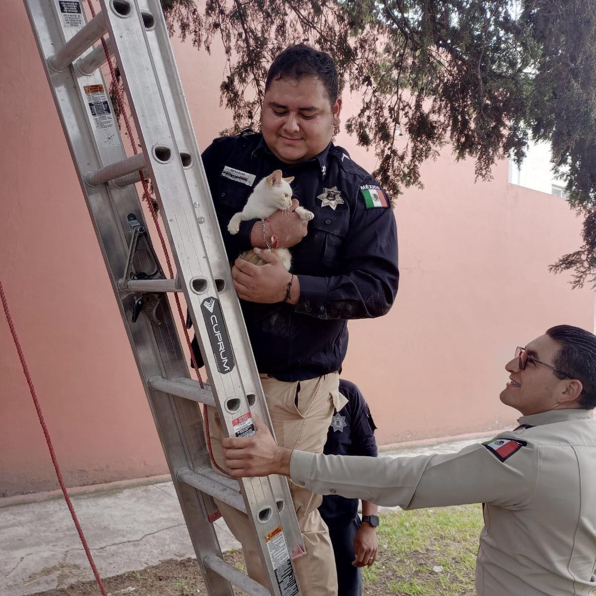 ¡Nada nos detiene La Policia Municipal Metepec esta siempre al