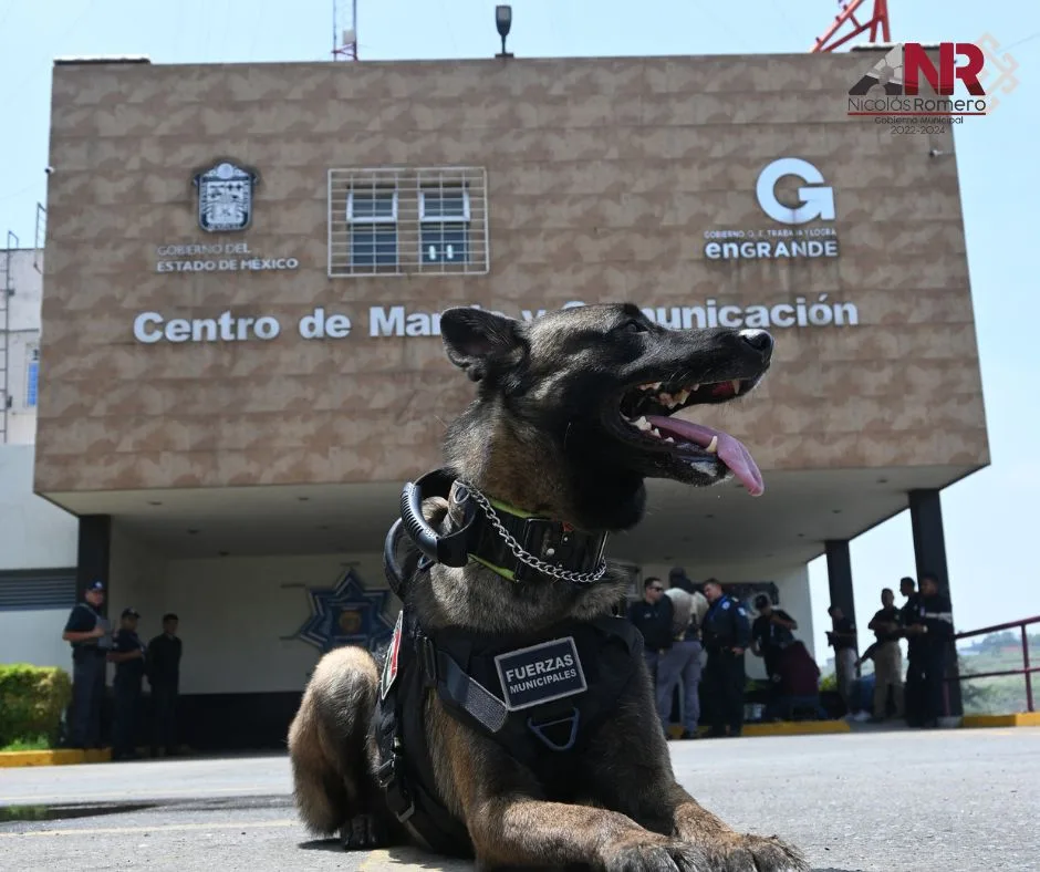 ¡Nuestros valientes perros policia adiestrados en Nicolas Romero nos llenan jpg