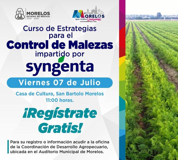 ¡Participa en el Curso de Estrategias para el Control de