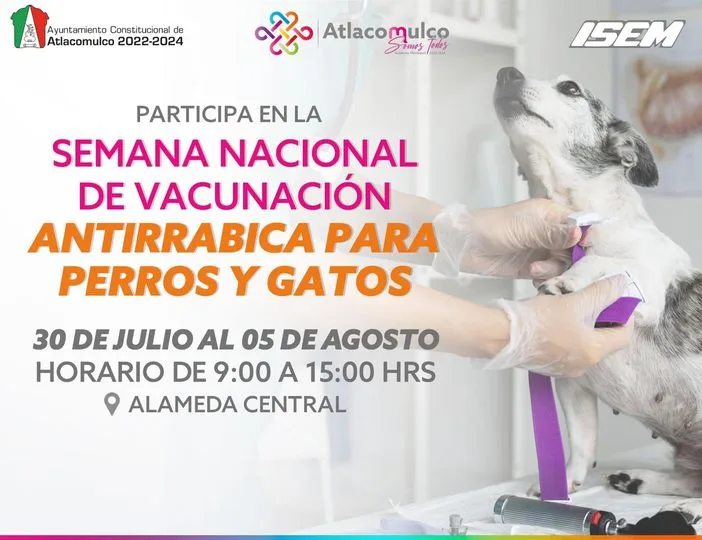 ¡Participa en la Semana Nacional de Vacunacion Antirrabica para Perros jpg