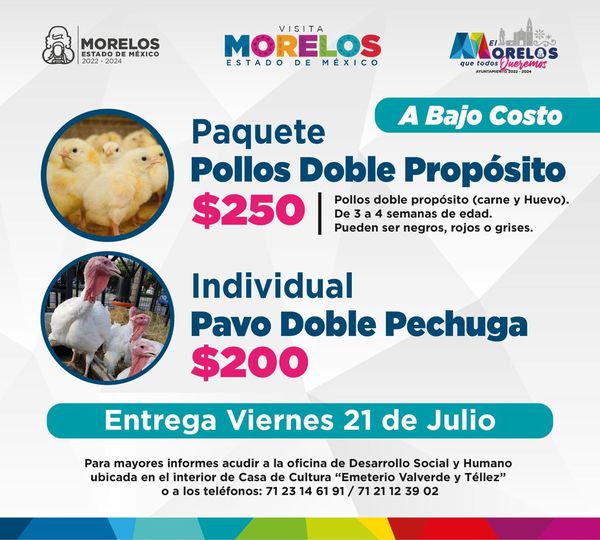 ¡Te compartimos la proxima fecha de entrega de Pollos y