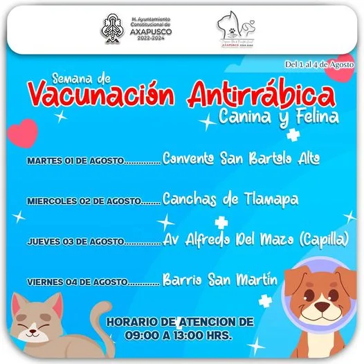 1690893614 Juntos cuidemos la salud de los perros y gatos jpg