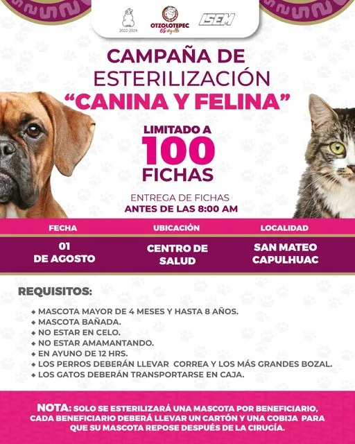 1690896218 Porque la portacion responsable de tu mascota es importante vuelven jpg