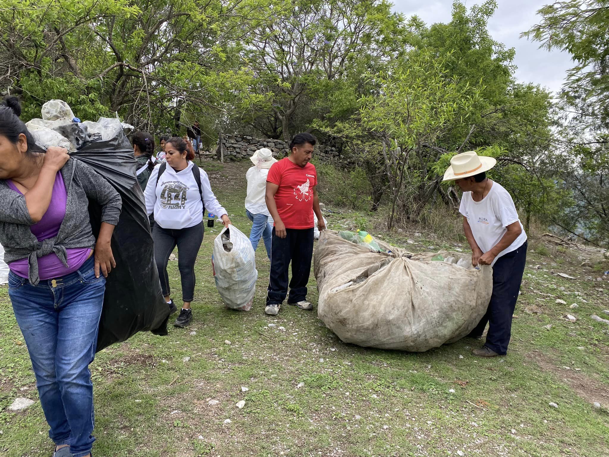 1690897787 968 Controlar desde casa al mosquito que transmite el dengue Chikungunya