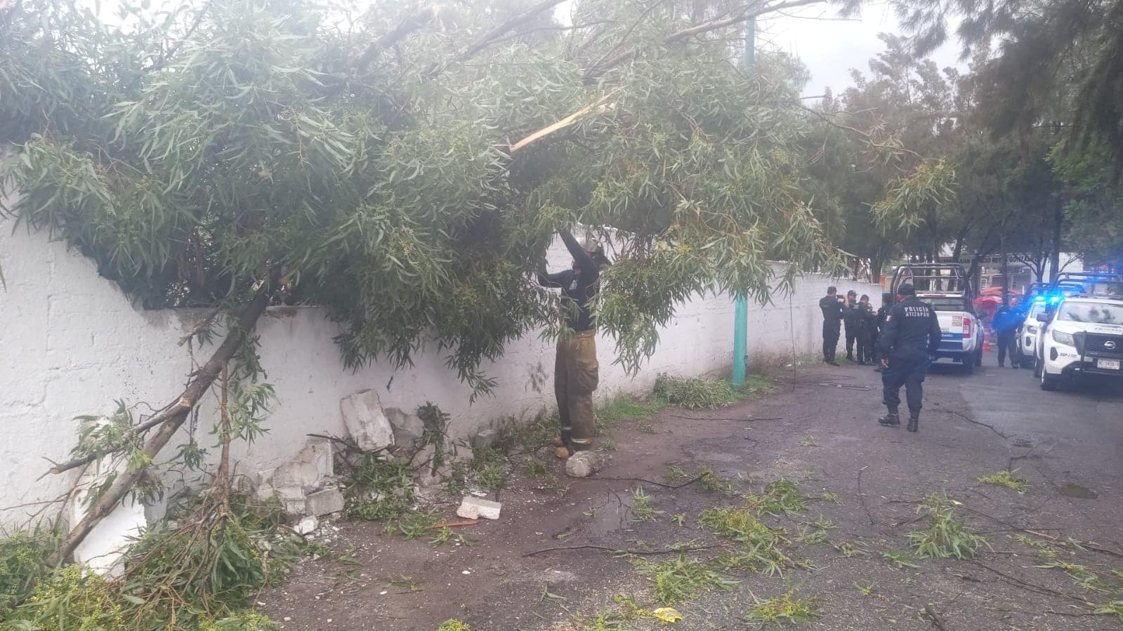 1690901003 709 Elementos de la Coordinacion Municipal de Proteccion Civil Bomberos Medio