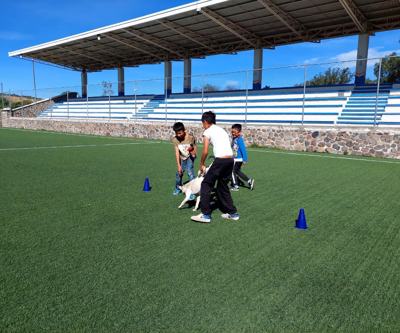 1690910220 710 Los CursosDeVerano permiten mejorar las habilidades y competencias asi como