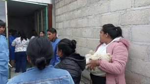 1690910793 Por nuestras mascotas y su cuidado iniciamos esterilizacion en San