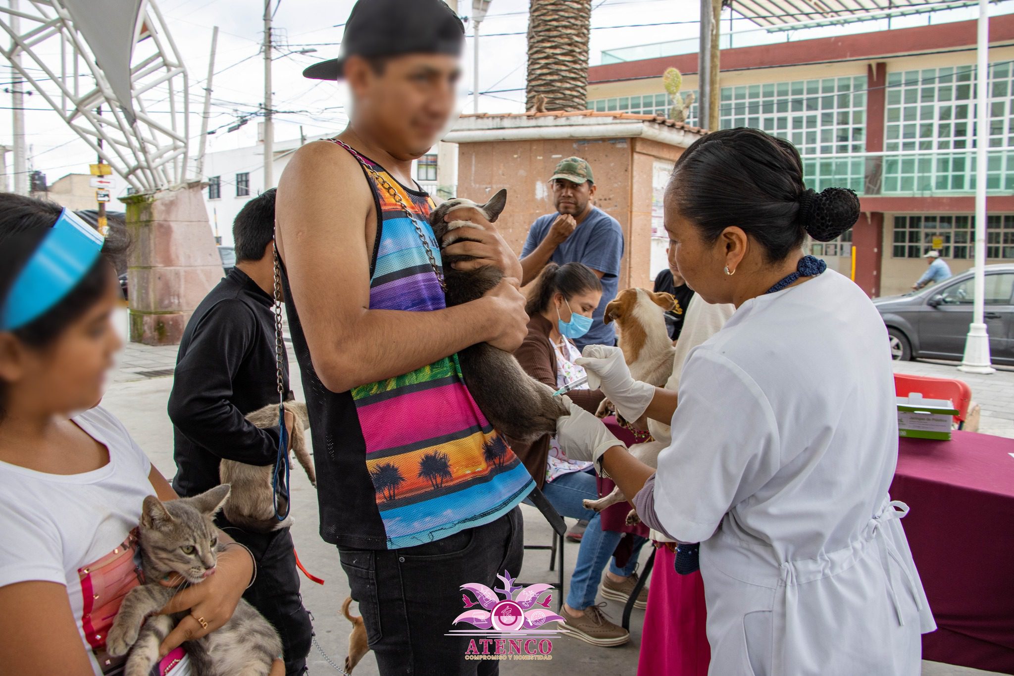 1690915875 22 Jornada Estatal de vacunacion antirrabica canina y felina 2023 Recuerda