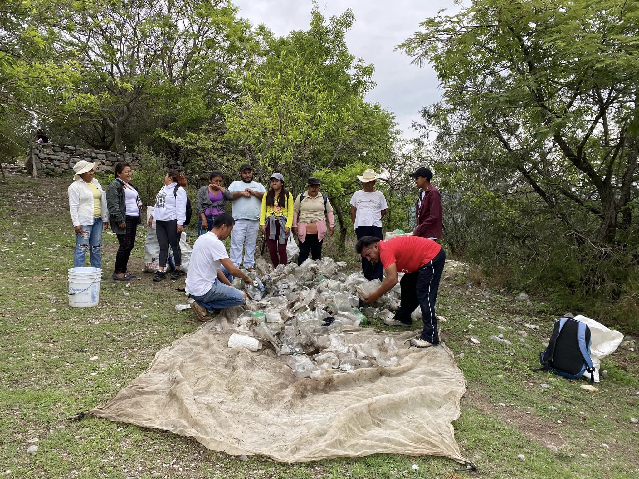 1690919703 599 Controlar desde casa al mosquito que transmite el dengue Chikungunya