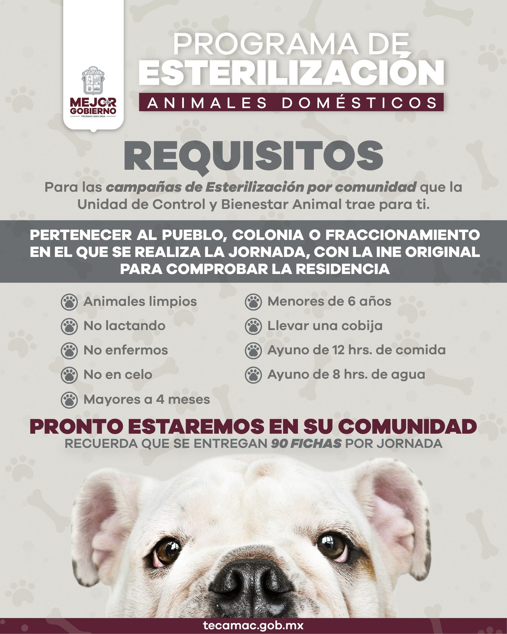 1690920643 585 Estas son nuestras jornadas de esterilizacion y requisitos por comunidad