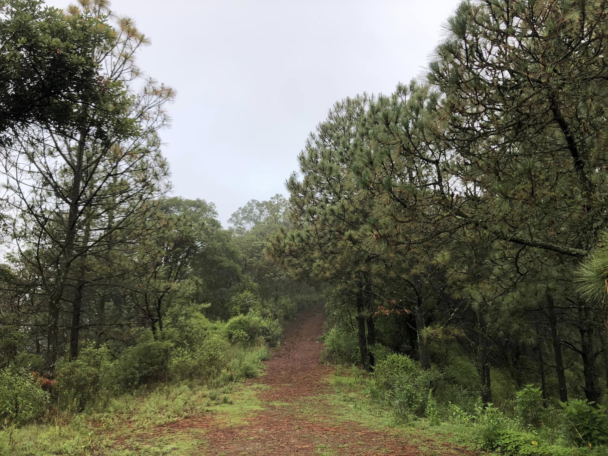 1690923969 694 Cerro Cuahuatl de Xalatlaco