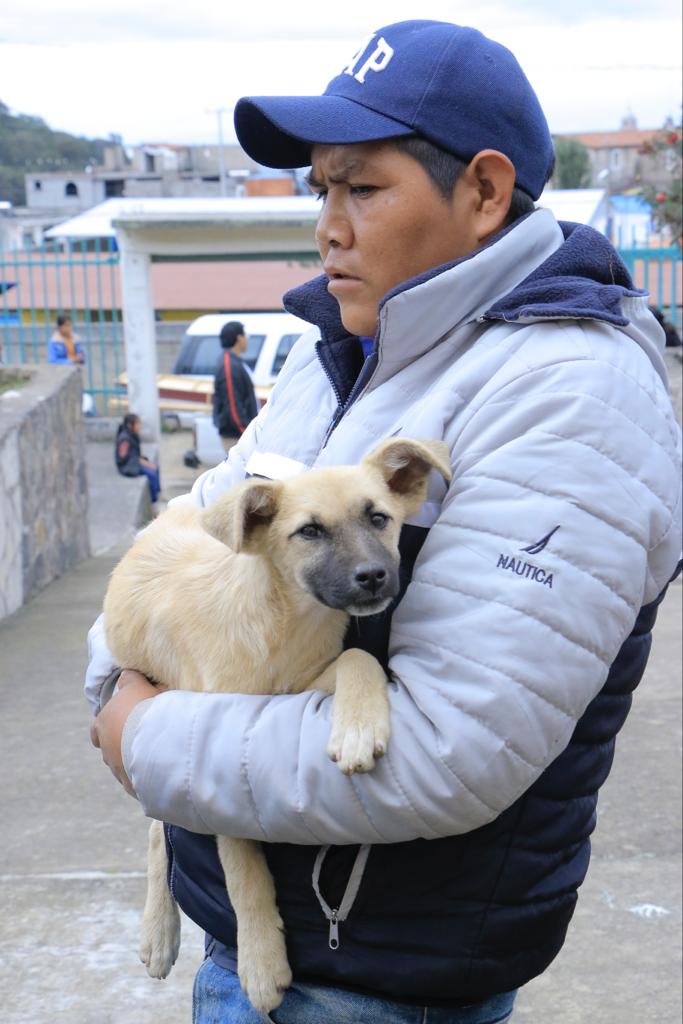 1690925417 670 En San Mateo Capulhuac cuidan de sus mascotas las llevan