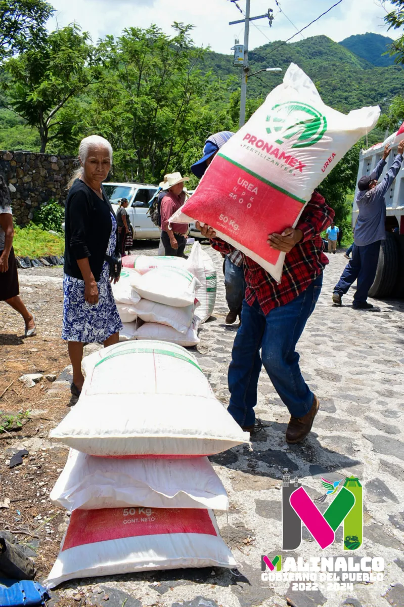 1690925880 465 Seguimos entregando fertilizante a nuestros amigos campesinos del municipio En