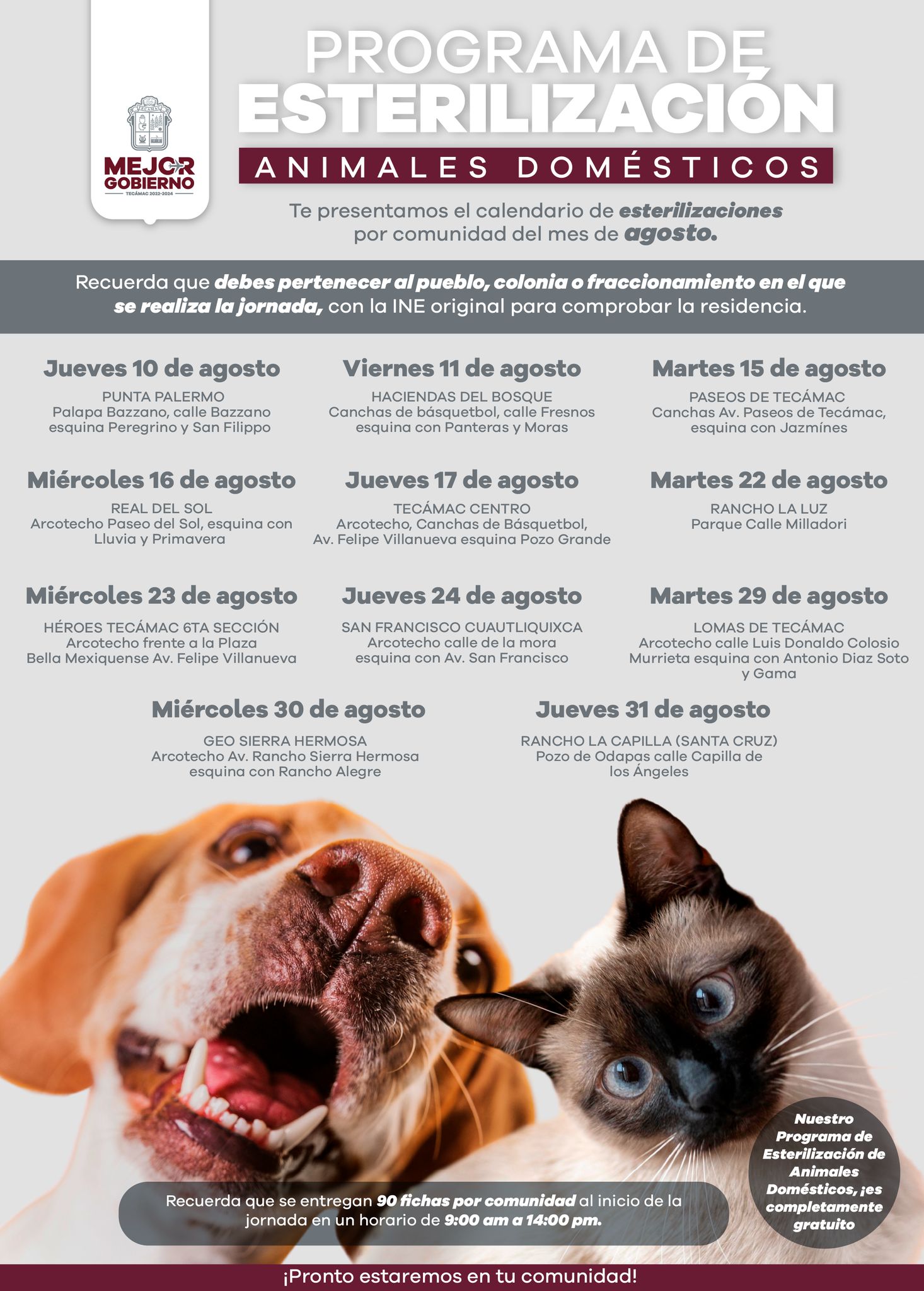 1690927911 878 Estas son nuestras jornadas de esterilizacion y requisitos por comunidad