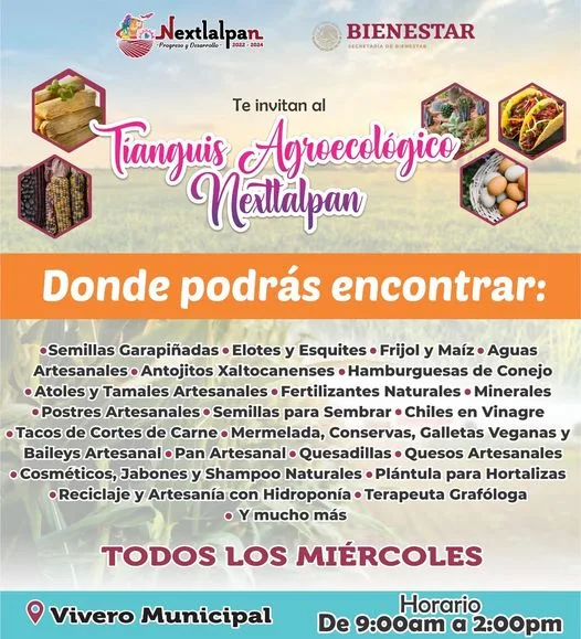 1690932971 TIANGUIS AGROECOLOGICO NEXTLALPAN jpg