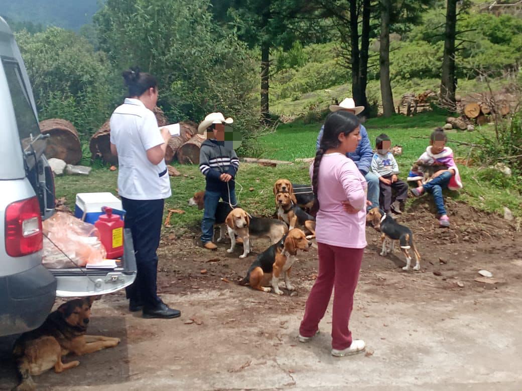 1690979552 761 Este dia se realizo la vacunacion antirrabica de perros y