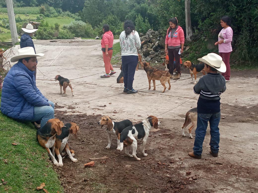 1690979560 173 Este dia se realizo la vacunacion antirrabica de perros y