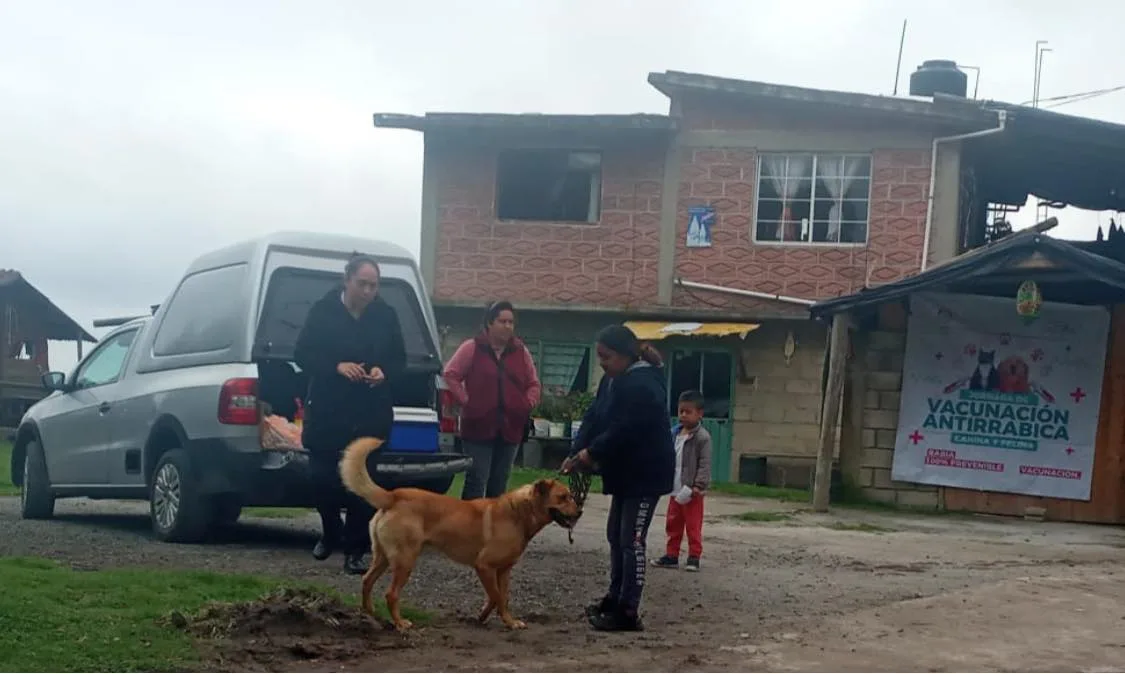 1690979591 Este dia se realizo la vacunacion antirrabica de perros y jpg