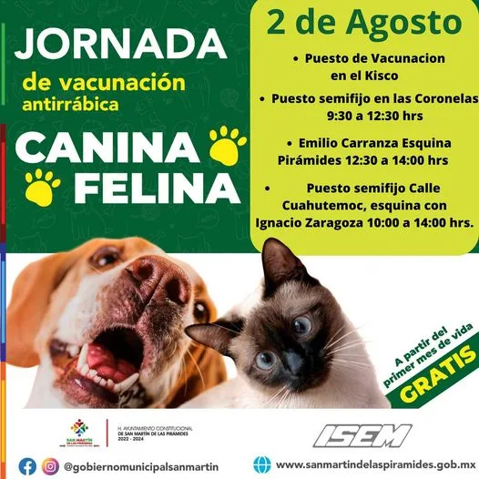 1690993132 ¡Atencion duenos de perritos y gatitos El Gobierno Municipal te jpg