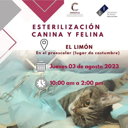 1691005977 Atencion ElLimon Manana jueves 03 de agosto estara el personal jpg