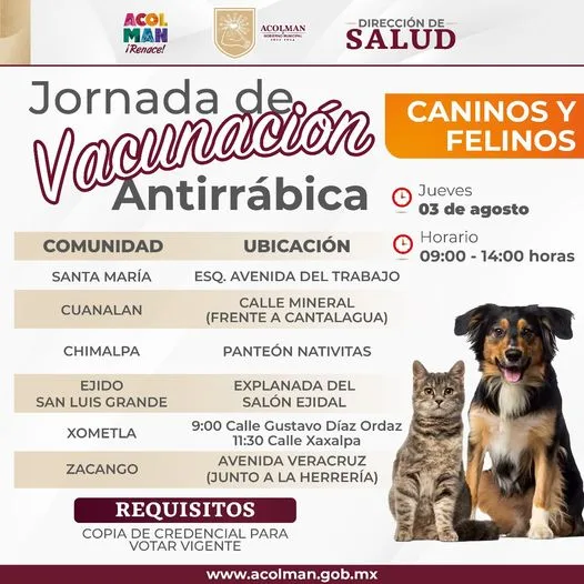 1691064247 INFORMACION IMPORTANTE Mantenerse atento del cuidado de las mascotas es jpg