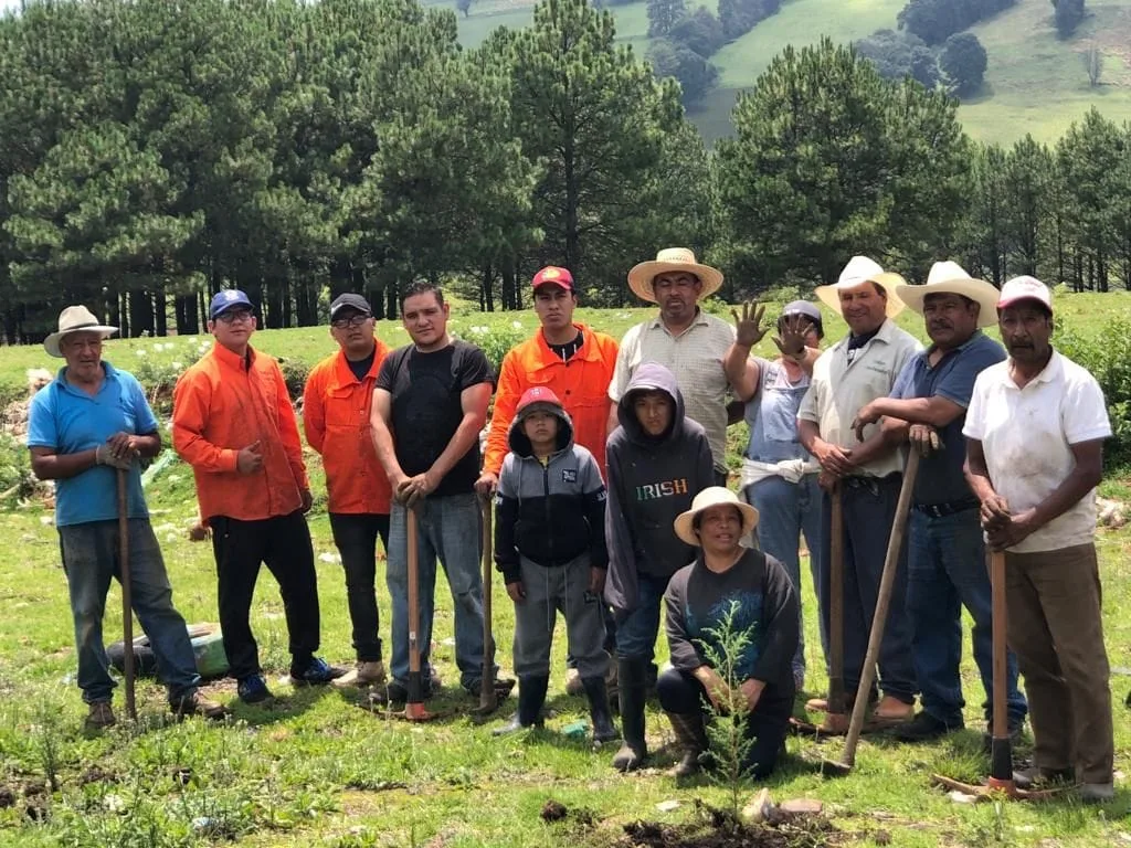 1691065929 3Reforestacion Cabera Municipal Esta manana logramos realizar la reforestacio jpg