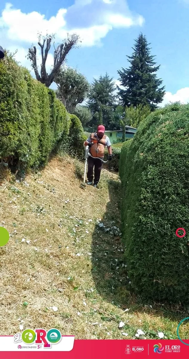 1691070395 614 Seguimos trabajando en el cuidado de nuestras areas verdes Por