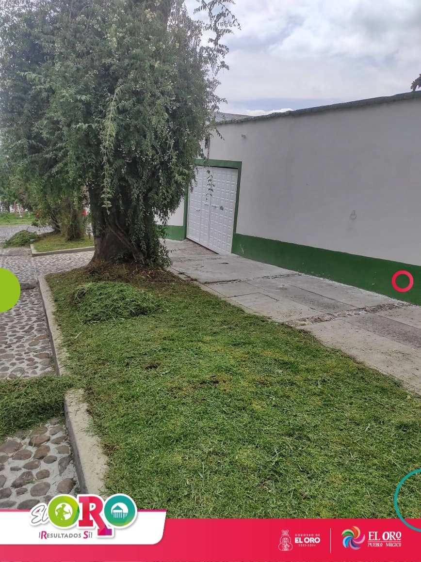 1691070399 738 Seguimos trabajando en el cuidado de nuestras areas verdes Por