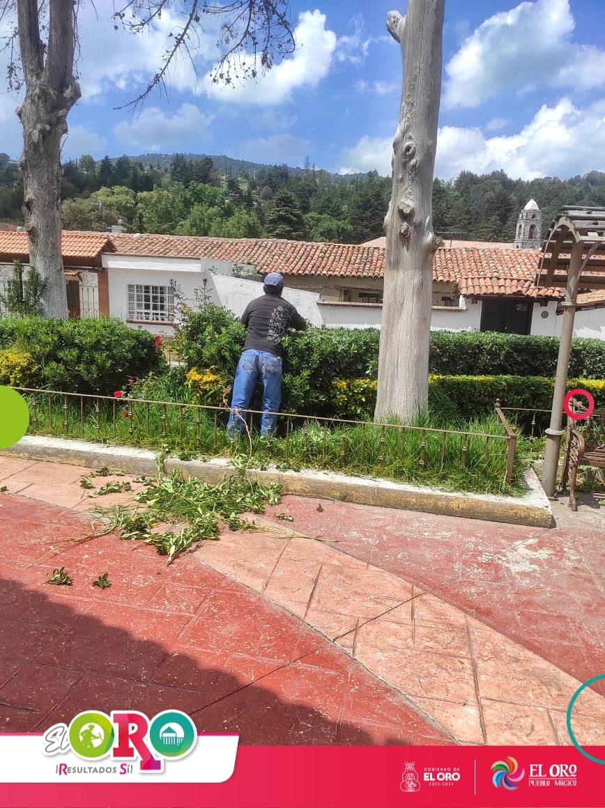 1691070404 195 Seguimos trabajando en el cuidado de nuestras areas verdes Por